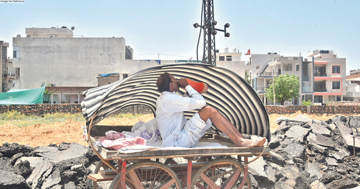 Normalcy hit in Bikaner at 45.5° Celsius